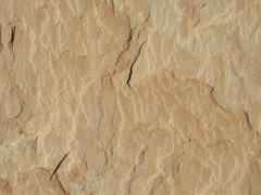 Bijolia Sandstone