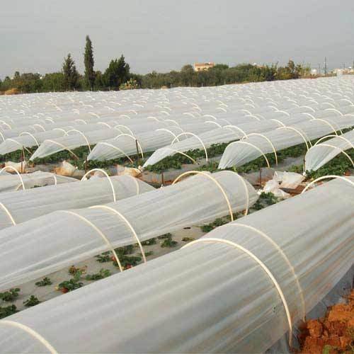 Agriculture Crop Cover