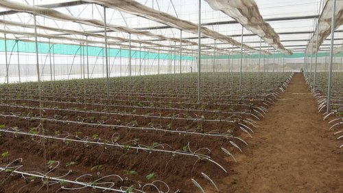 Cultivation Drip Irrigation System