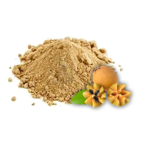 Spray Dried Sapota Powder