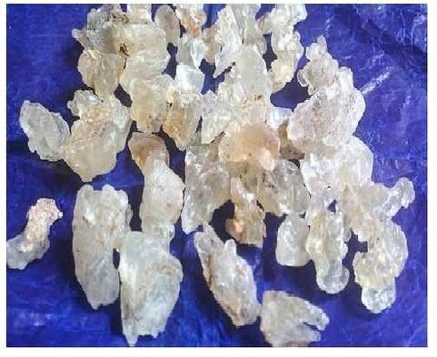 White Gum Karaya