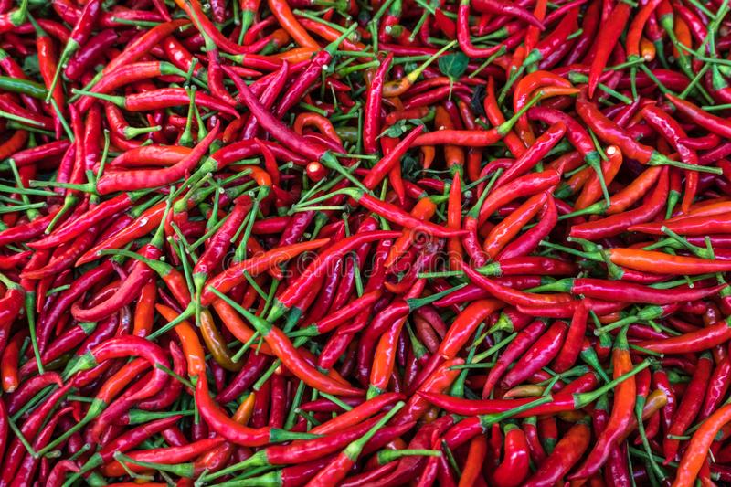 Residue Free Red Chilli