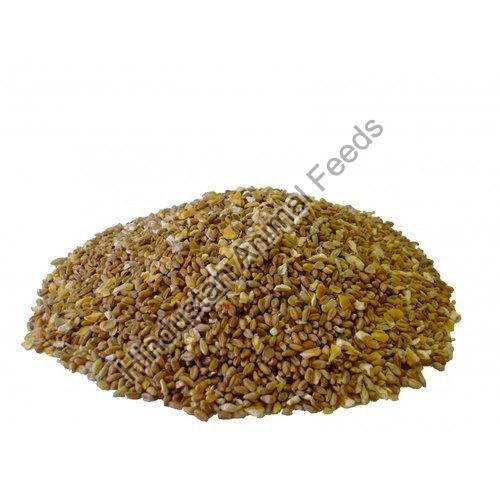 0 to 6 Weeks Brown Egg Layer Chicken Feed