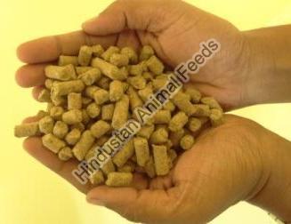 Guinea Pig Complete Life Cycle Feed Manufacturer Supplier in Jamnagar India