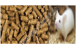 Rodent Complete Life Cycle Feed