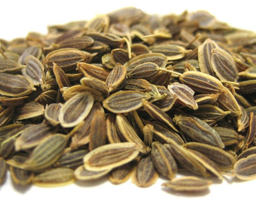 Dried Dill Seeds