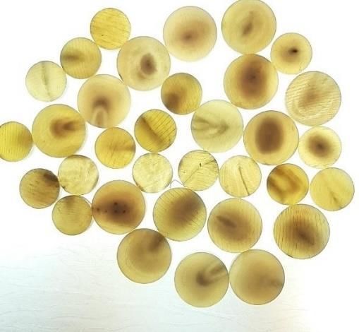 JSTCB 01 Buffalo Horn Button Blank