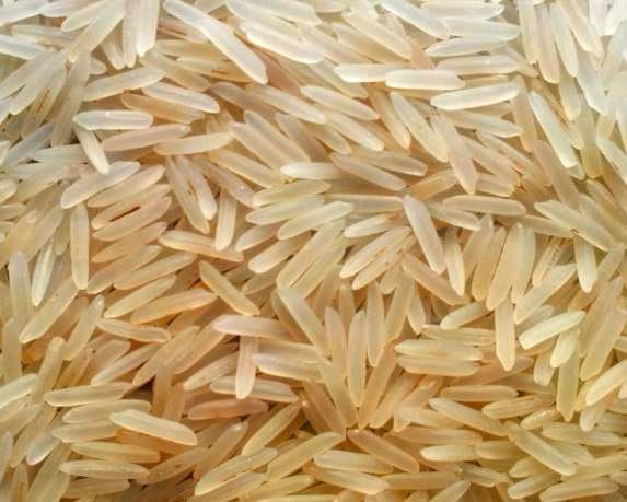 1509 Golden Sella Non Pesticides Rice