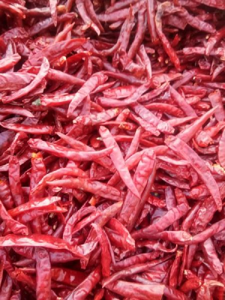 S17 Teja Dry Red Chilli