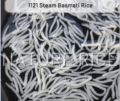 1121 Steam Basmati Branded Rice