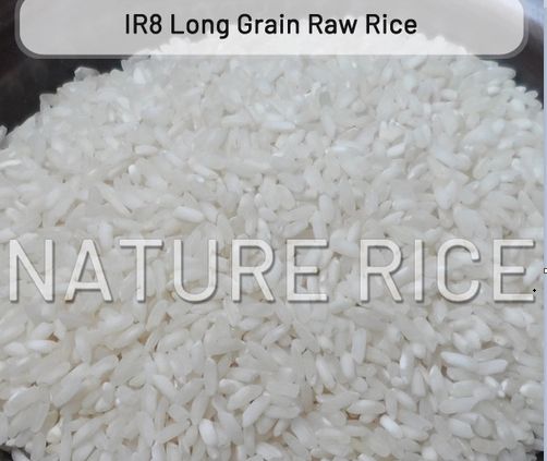 IR8 Long Grain Raw Rice