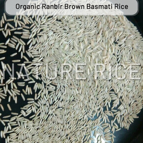 Organic Ranbir Brown Basmati Rice
