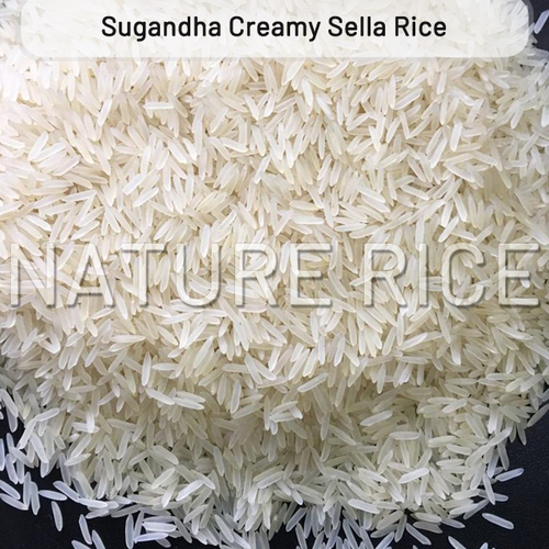Sugandha White / Creamy Sella Rice