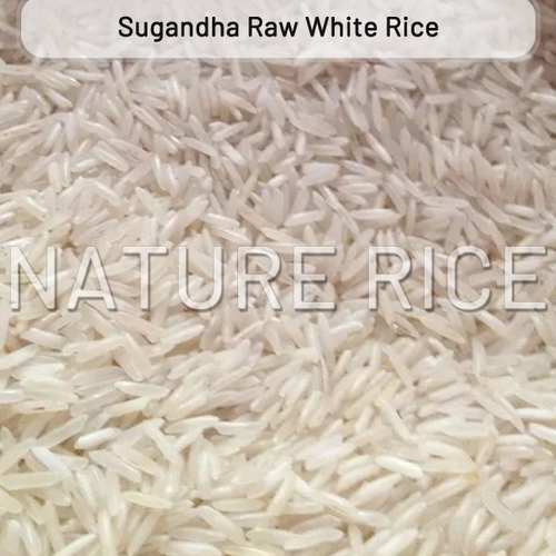 Sugandha White Raw Rice