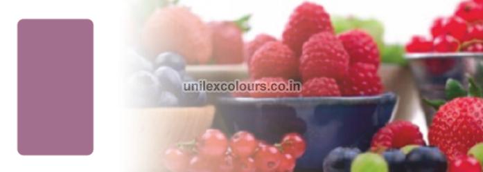 Anthocyanin Food Color