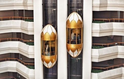 Capsule Elevator