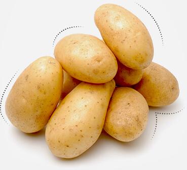 Fresh Table Potatoes