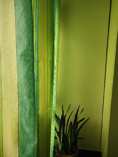 Green Striped Curtain