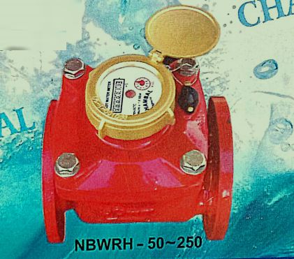 NBWRH 50-250 Water Meter