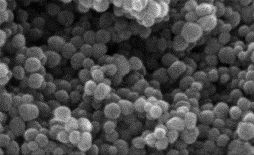 Silicon Oxide Nanoparticles