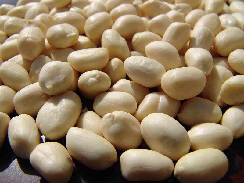 Whole Blanched Peanut