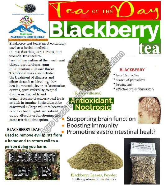 Blackberry Leaf Tea