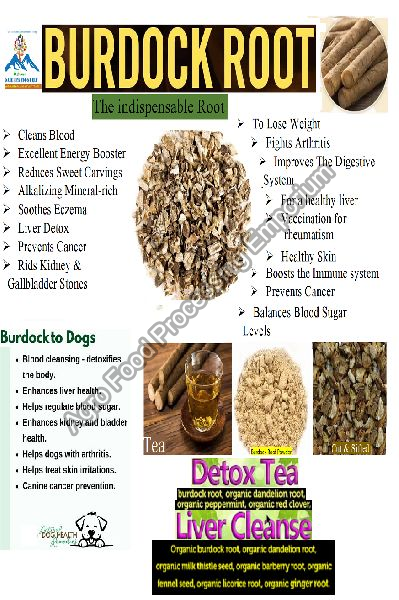 Burdock Root Tea
