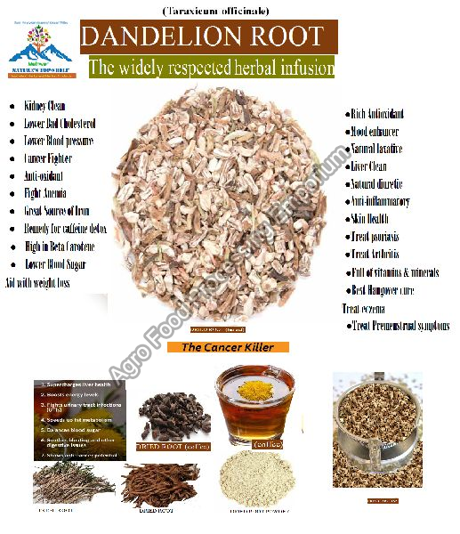 Dandelion Root Tea