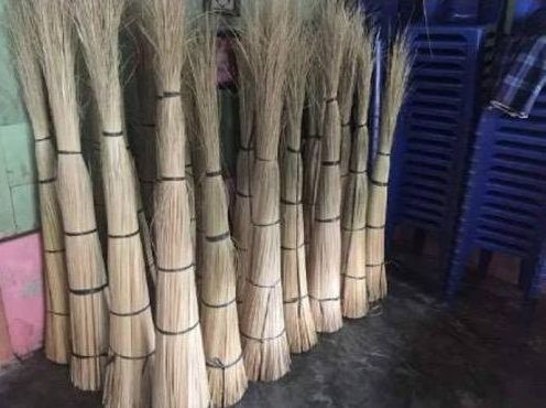Indonesia Nipah Broom