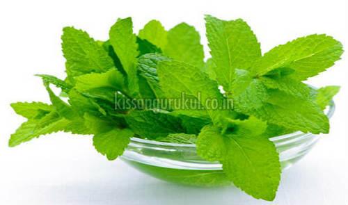 Natural Mint Leaves