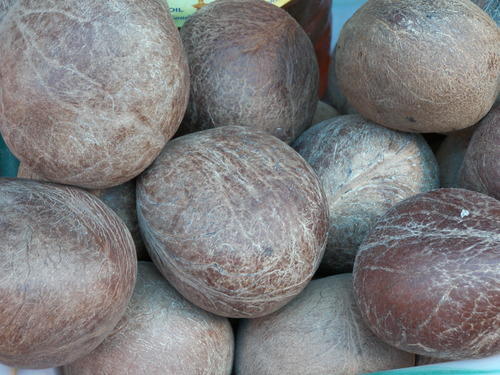 Premium Black Ball Copra Coconut