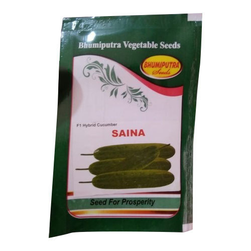Saina Cucumber Seeds
