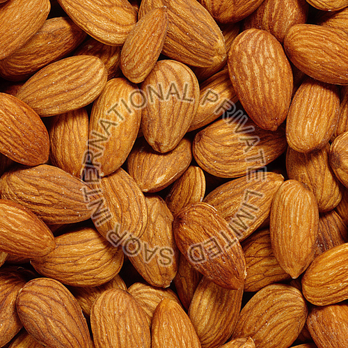 Raw Almonds Nuts
