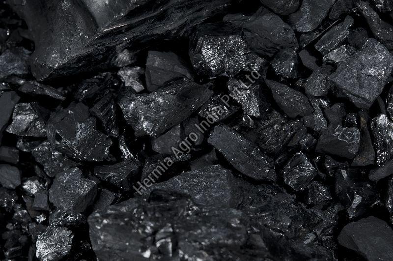 Bio Coal