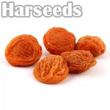 Red Kashmiri Apricot
