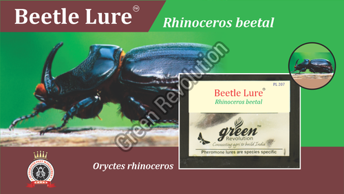Beetle Lure