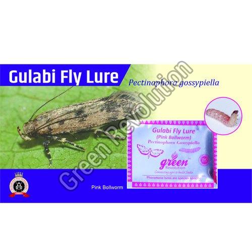 Gulabi Fly Lure