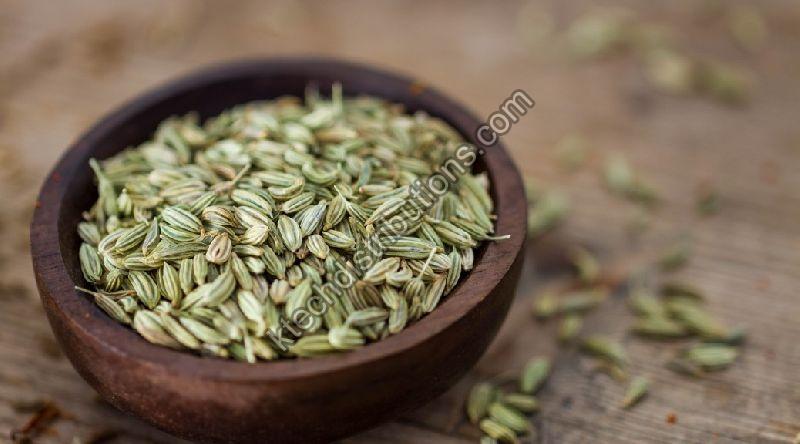 Fennel Seeds