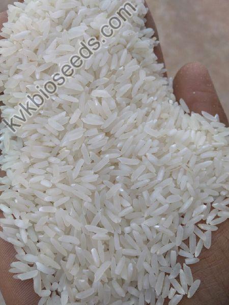 IR 64 100 % Broken Raw Rice
