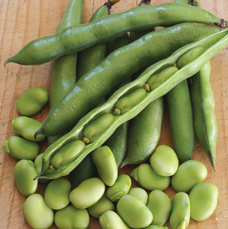 Fresh Broad Beans