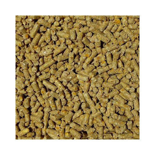 Layer Feed Pellet