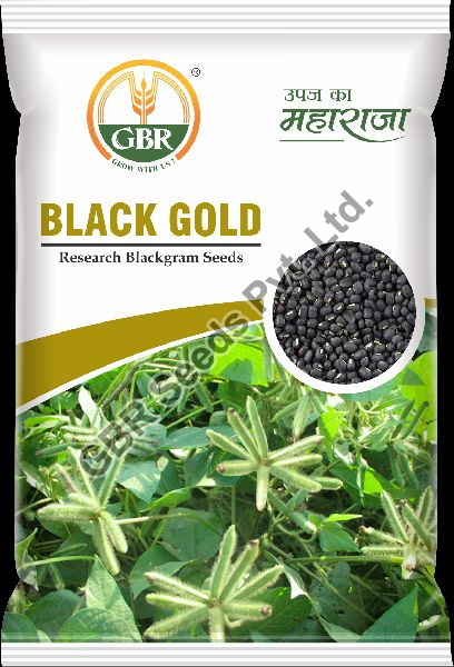 Black Gold Gram Seeds