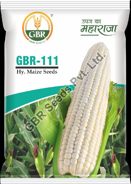 GBR-111 Maize Seeds