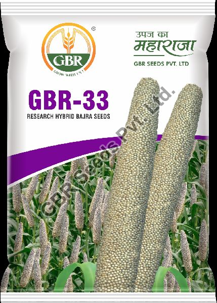 GBR-33 Bajra Seeds