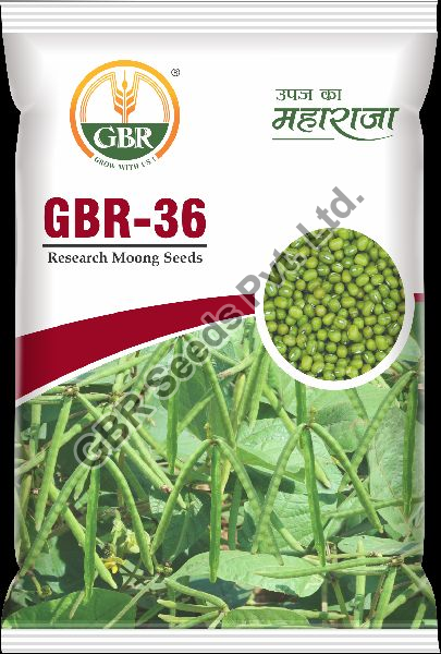 GBR-36 Moong Seeds
