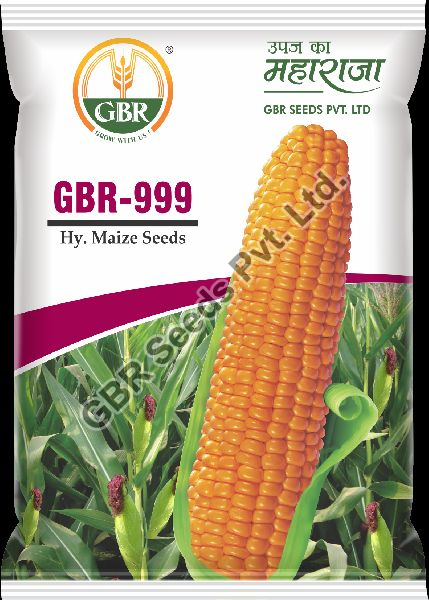 GBR-999 Maize Seeds