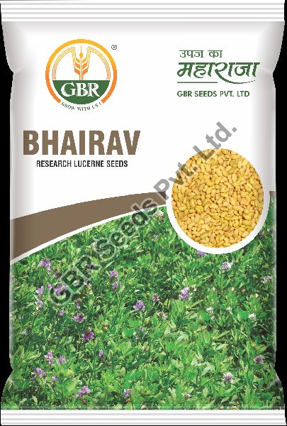 GBR Bhairav Lucerne Seeds