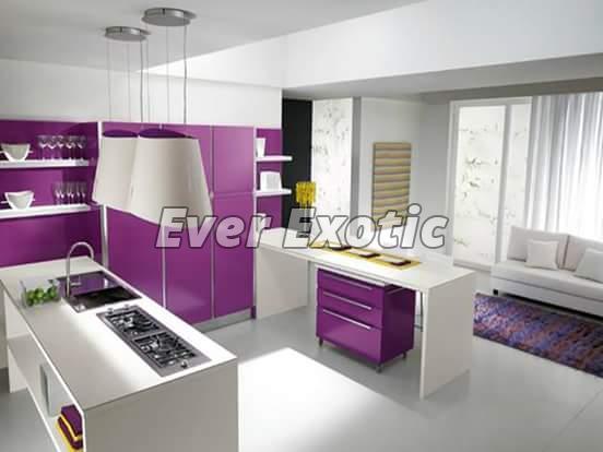 Modular Kitchen Cabinet 08