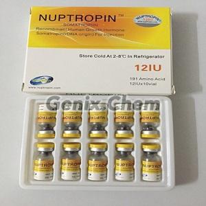 Buy Steroid Hormones Nuptropin HGH