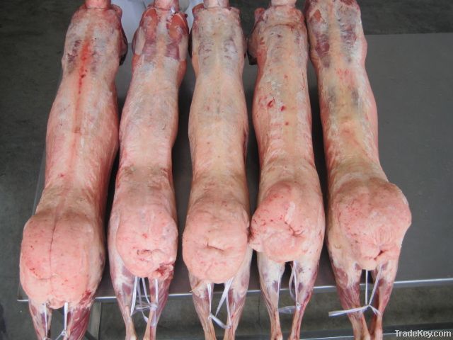 Buy Wholesale United Kingdom Lamb Tail Fat/ Frozen Lamb Tail Frozen/ Frozen  Lamb For Sale & Frozen Lamb Tail Fat at USD 50